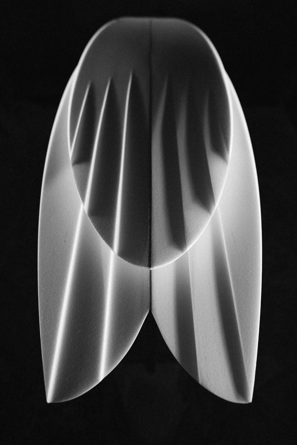 Étude en noir et blanc des concaves sous une planche de surf