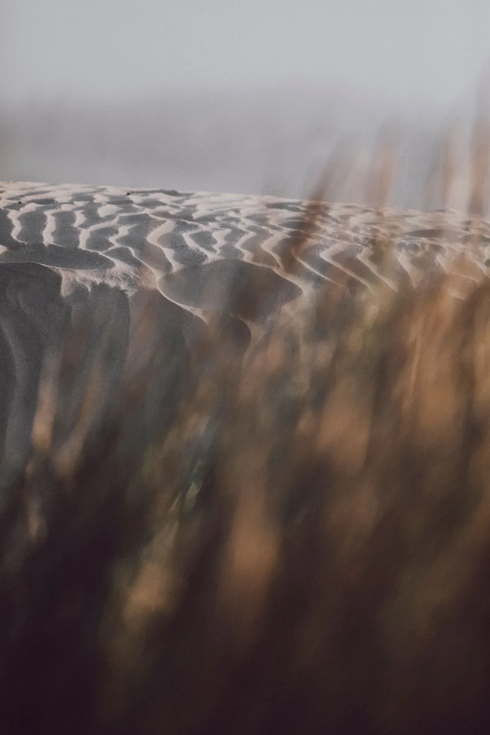Lignes de sable modelées par le vent sur une dune atlantique